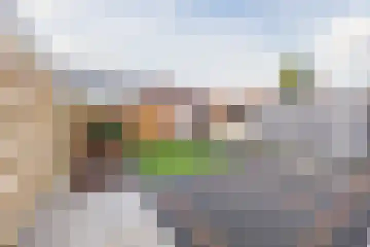 Koningin Julianaweg 9 's-Gravenzande thumbnail 27