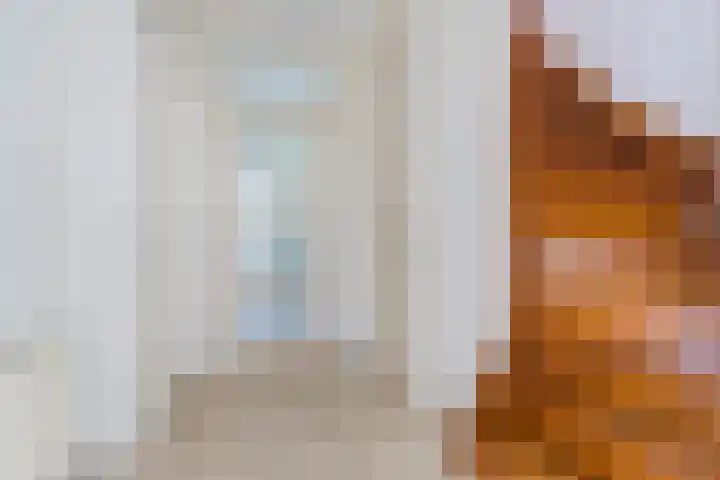 Koningin Julianaweg-Zuid 3 B Best thumbnail 13