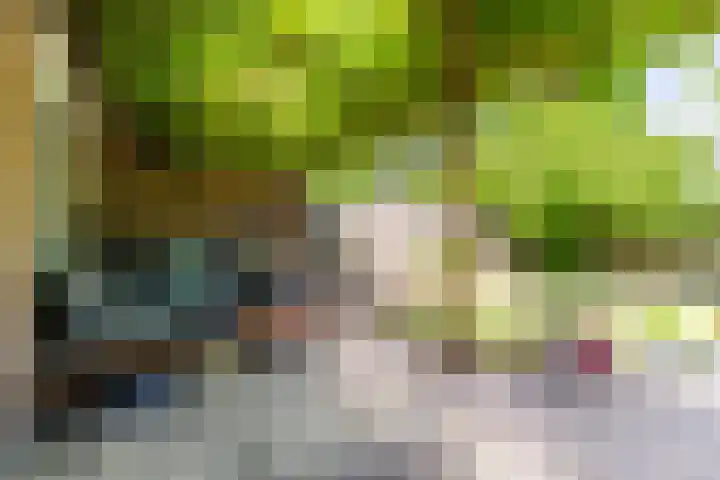 Koningin Julianaweg-Zuid 3 B Best thumbnail 33