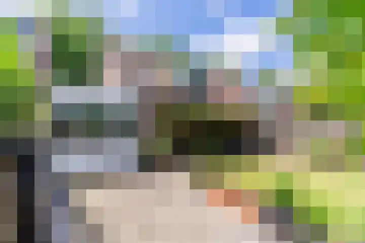 Koningin Julianaweg-Zuid 3 B Best thumbnail 38