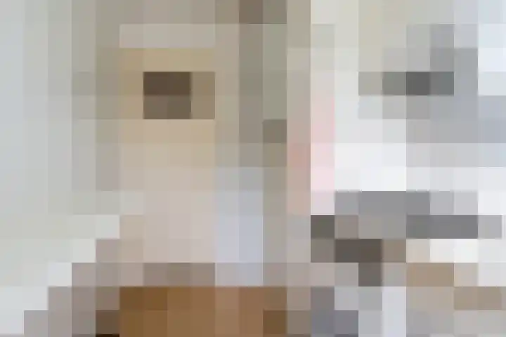 Koningin Marialaan 72 Den Haag thumbnail 19