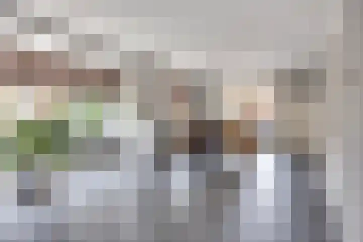 Koningin Maximahof 12 Hedel thumbnail 10