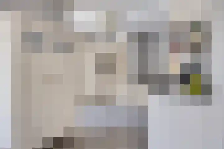 Koningin Maximahof 12 Hedel thumbnail 12