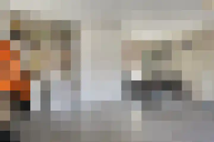 Koningin Maximahof 12 Hedel thumbnail 16