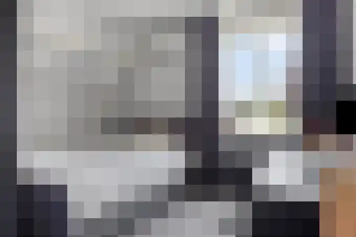 Koningin Maximahof 12 Hedel thumbnail 21
