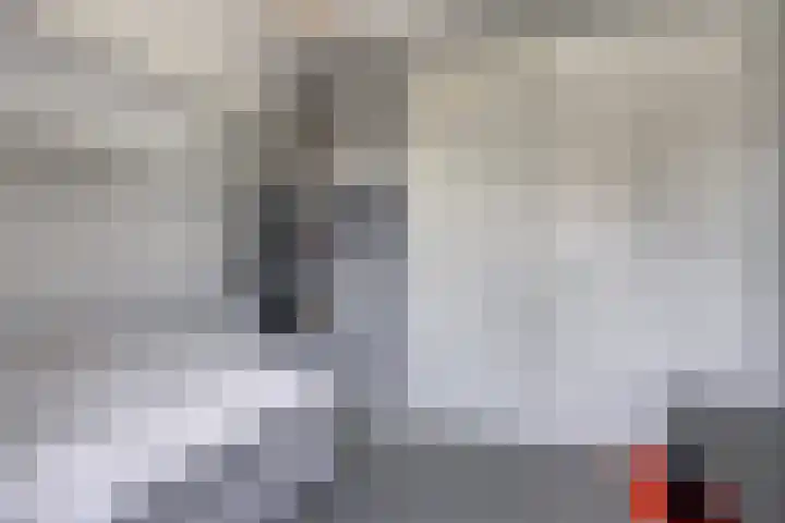 Koningin Maximahof 12 Hedel thumbnail 24