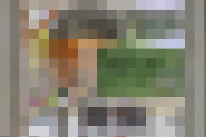 Koningin Maximahof 12 Hedel thumbnail 34
