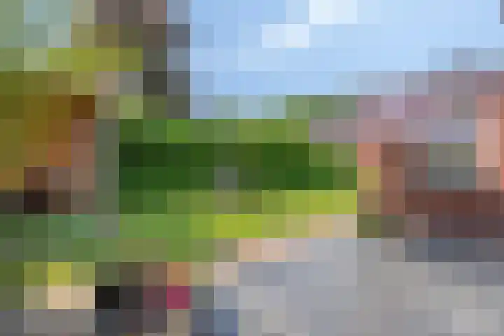 Koningin Maximahof 12 Hedel thumbnail 35