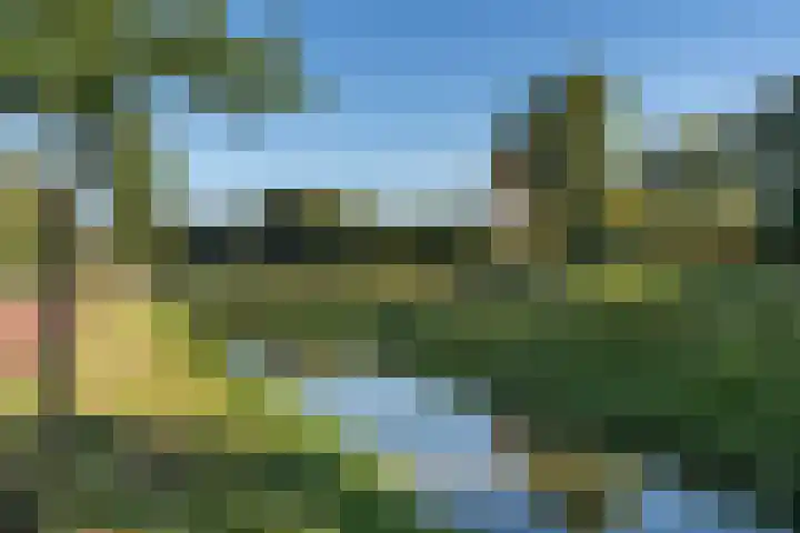 Koningin Maximahof 12 Hedel thumbnail 39