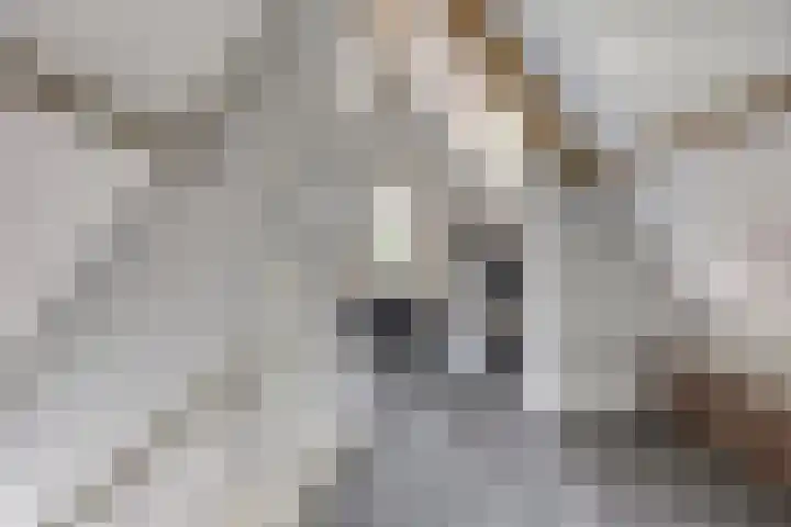Koningin Maximahof 12 Hedel thumbnail 4