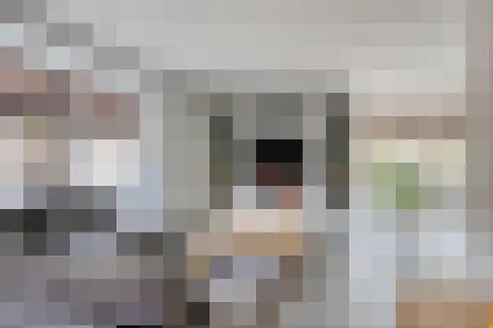 Koningin Maximahof 12 Hedel thumbnail 9