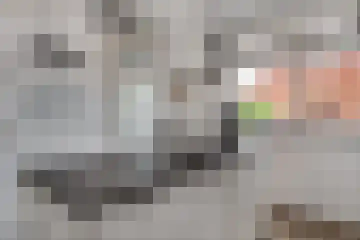 Koningin Maximahof 22 Hedel thumbnail 13