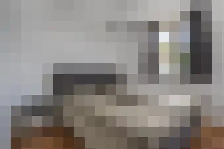 Koningin Maximahof 22 Hedel thumbnail 17
