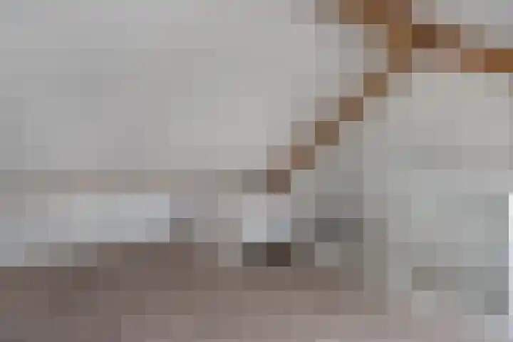 Koningin Maximahof 22 Hedel thumbnail 21