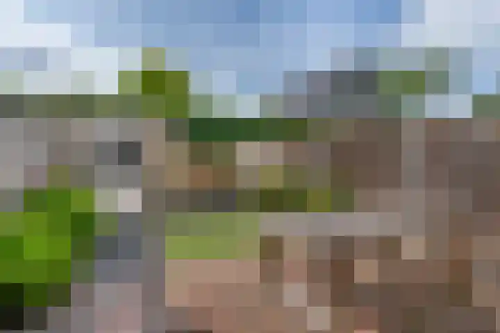 Koningin Maximahof 22 Hedel thumbnail 23