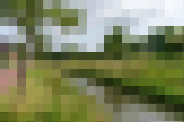 Koningin Maximahof 22 Hedel thumbnail 28