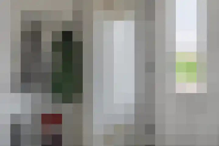 Koningin Maximahof 22 Hedel thumbnail 6