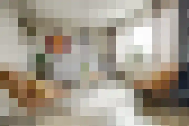 Koningin Maximahof 44 Wemeldinge thumbnail 10