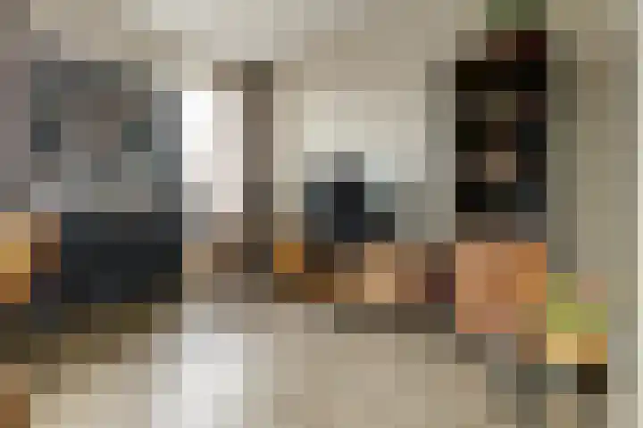 Koningin Maximahof 44 Wemeldinge thumbnail 11