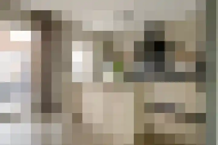 Koningin Maximahof 44 Wemeldinge thumbnail 12