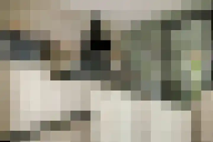 Koningin Maximahof 44 Wemeldinge thumbnail 13