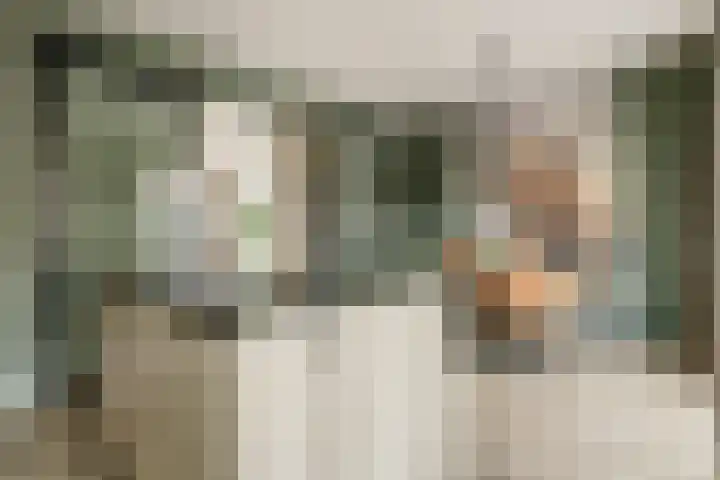 Koningin Maximahof 44 Wemeldinge thumbnail 14