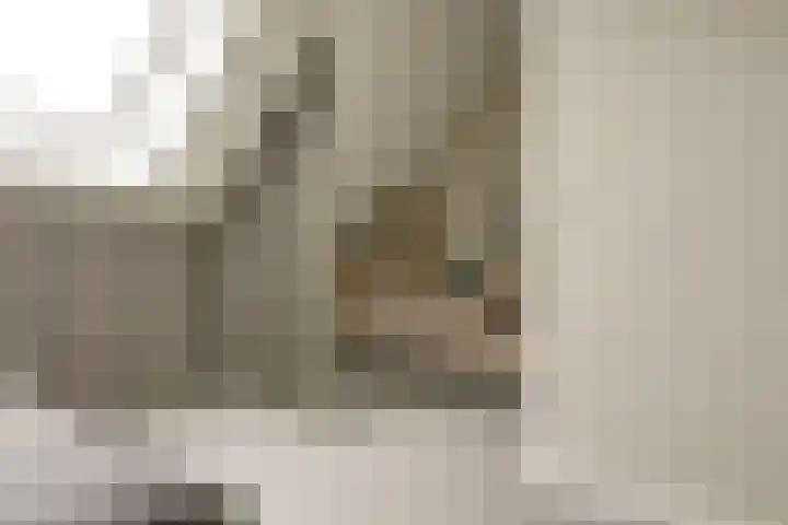 Koningin Maximahof 44 Wemeldinge thumbnail 18