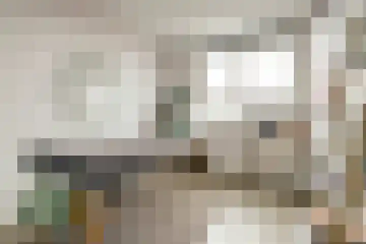 Koningin Maximahof 44 Wemeldinge thumbnail 19