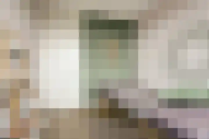 Koningin Maximahof 44 Wemeldinge thumbnail 20