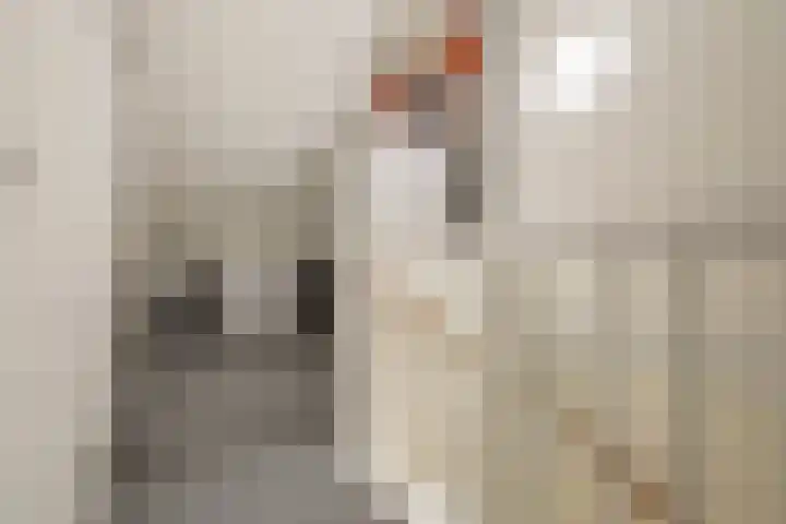 Koningin Maximahof 44 Wemeldinge thumbnail 25