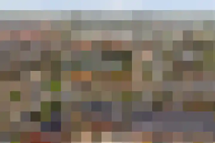 Koningin Maximahof 44 Wemeldinge thumbnail 36