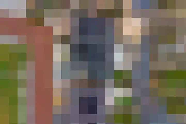 Koningin Maximahof 44 Wemeldinge thumbnail 37