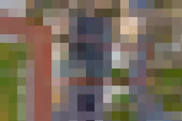 Koningin Maximahof 44 Wemeldinge thumbnail 39