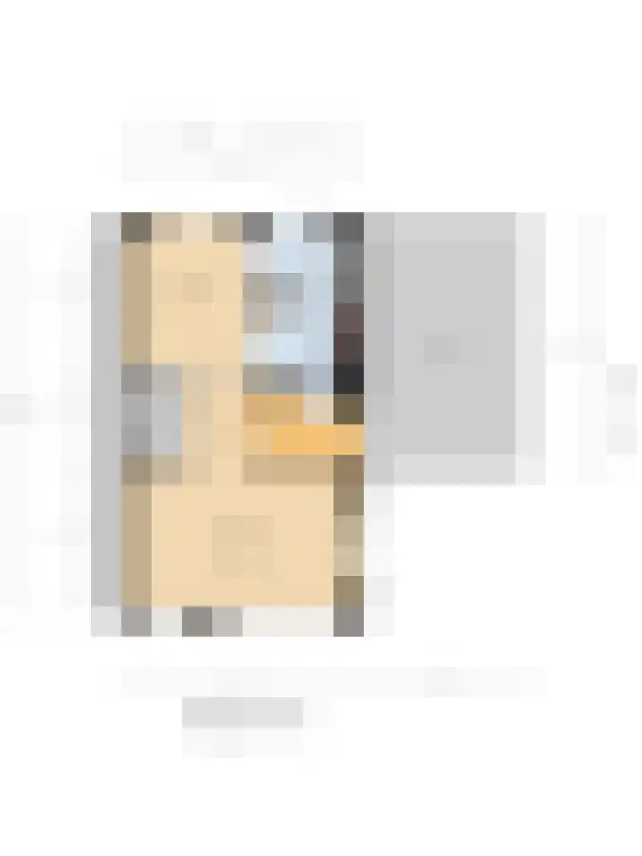 Koningin Maximahof 44 Wemeldinge thumbnail 41