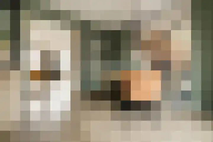 Koningin Maximahof 44 Wemeldinge thumbnail 7