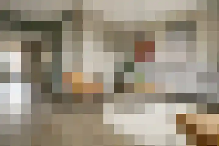 Koningin Maximahof 44 Wemeldinge thumbnail 8