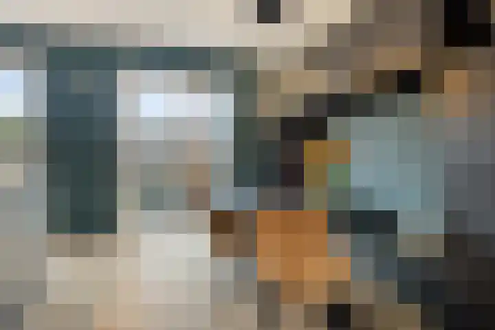 Koningin Maximahof 50 Wemeldinge thumbnail 14