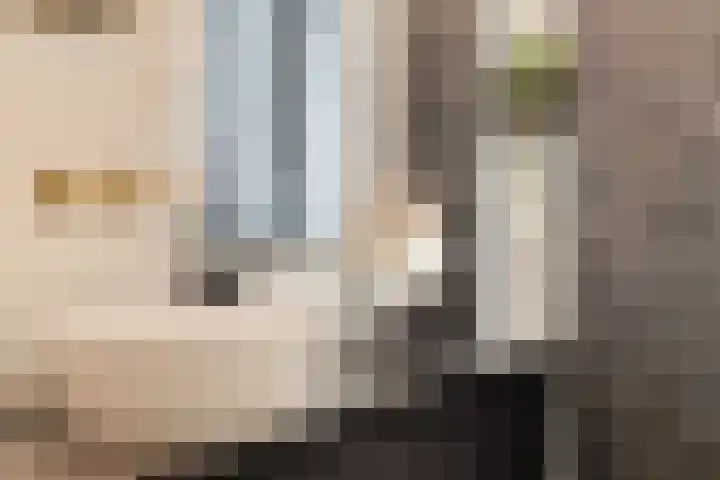 Koningin Maximahof 50 Wemeldinge thumbnail 30