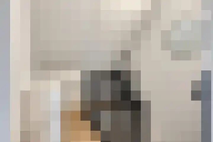 Koningin Maximahof 50 Wemeldinge thumbnail 31