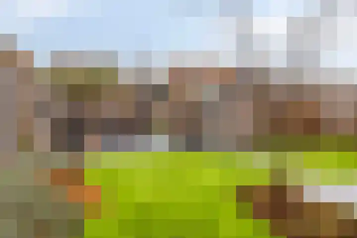 Koningin Maximahof 50 Wemeldinge thumbnail 36