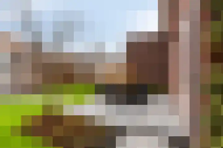 Koningin Maximahof 50 Wemeldinge thumbnail 38