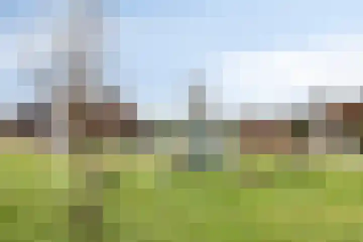 Koningin Maximahof 50 Wemeldinge thumbnail 42