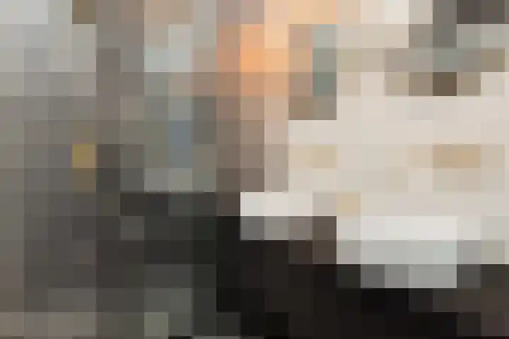 Koningin Maximahof 50 Wemeldinge thumbnail 5