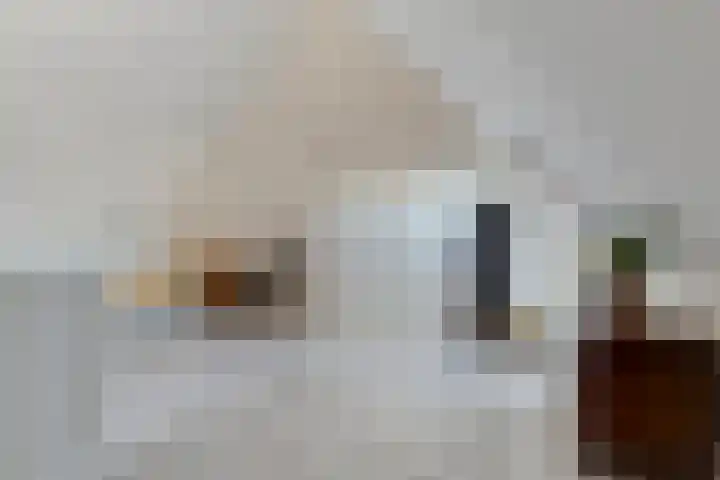 Koningin Maximahof 52 Wemeldinge thumbnail 27