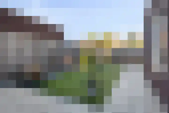 Koningin Maximahof 52 Wemeldinge thumbnail 29