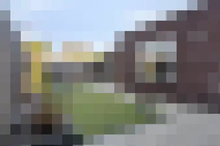 Koningin Maximahof 52 Wemeldinge thumbnail 30