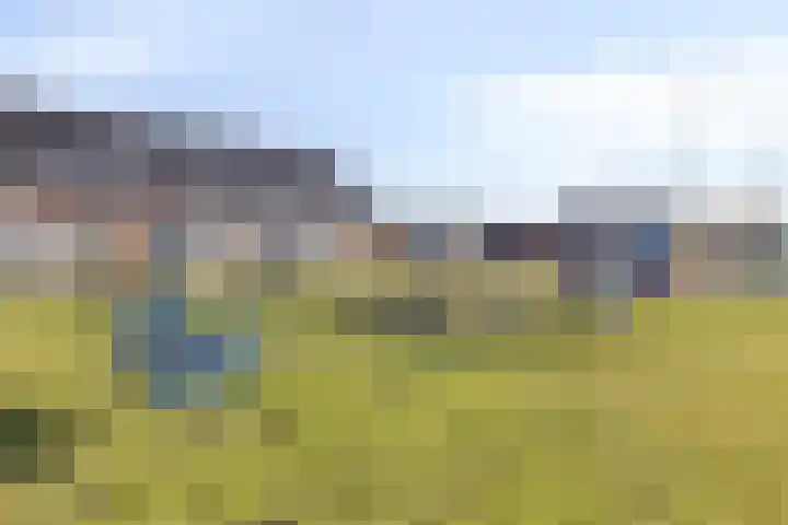 Koningin Maximahof 52 Wemeldinge thumbnail 35