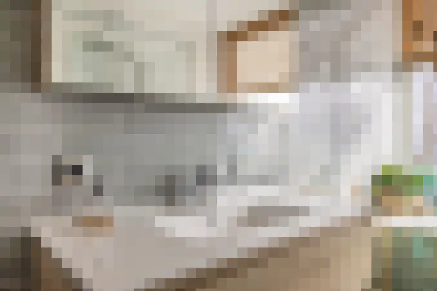 Koningin Máximalaan 109 Julianadorp thumbnail 37