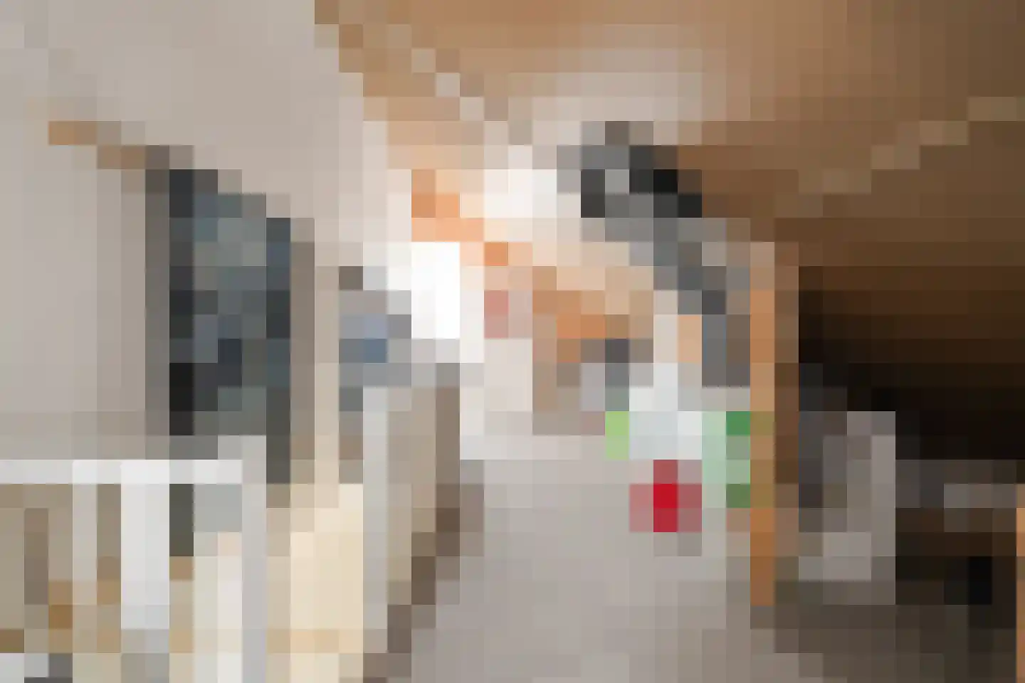 Koningin Máximalaan 14 Julianadorp thumbnail 27