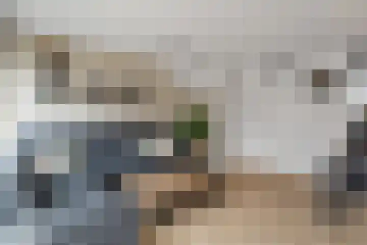 Koningin Máximalaan 18 Julianadorp thumbnail 10
